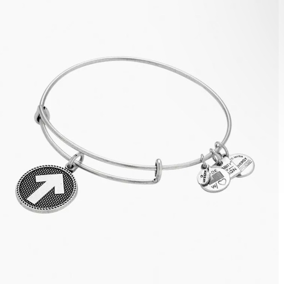 Alex and Ani Jewelry - Alex and Ani Stand Up to Cancer Charm Bangle Silver Bracelet